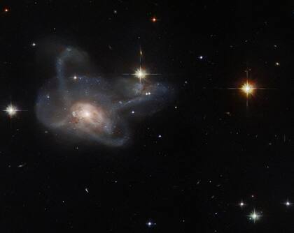 Las dos galaxias en interacción que forman el par conocido como Arp-Madore 608-333
