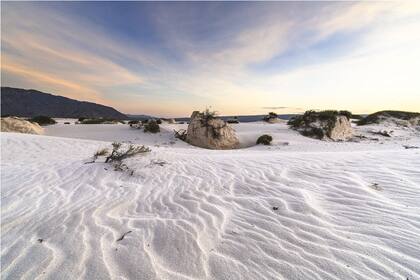 Las dunas de arena blanca de Cuatro Ciénagas de Carranza, México. Gentileza BTV