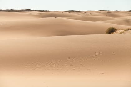 Las dunas de Bahía Creek abarcan 18.000 hectáreas.