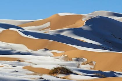 Las dunas del desierto sahariano de Argelia en los últimos días sorprendieron con la presencia de nieve