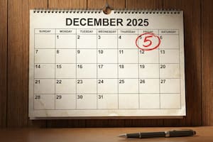 Hoy se celebra el Día Internacional de los Voluntarios