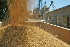 Una herramienta de financiamiento para el agro superó los US$1900 millones