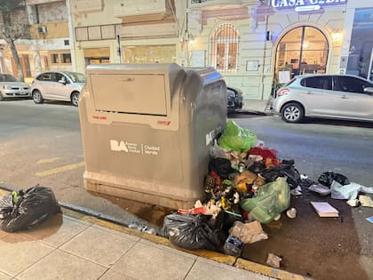 Las empresas de fumigación apuntan a una mala recolección de basura cuando son consultadas por el aumento del número de ratas