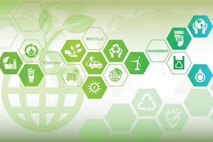 Las empresas deberán esforzarse por investigar en profundidad sus operaciones en todo el mundo, abrir los datos al público y divulgar la huella ambiental completa.