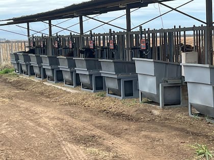 Las empresas mostrarán los usos y funcionalidades de sus tecnologías