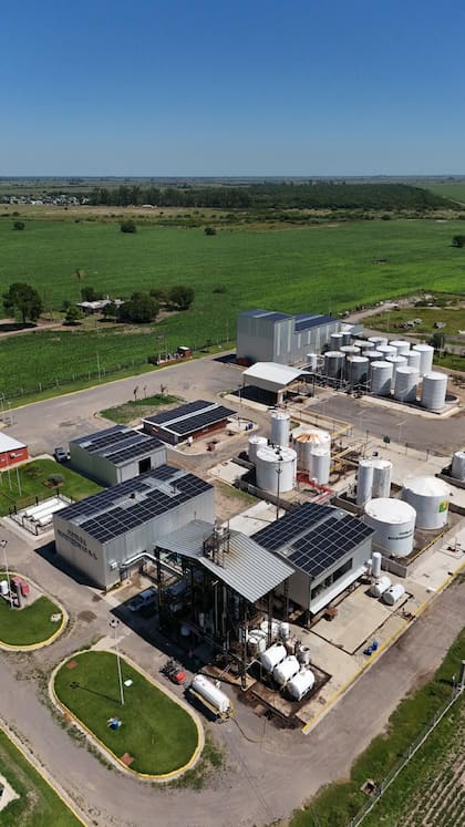 Las empresas productoras de biodiésel plantean que aumentar la mezcla generaría un triple efecto