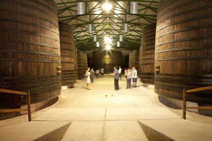 Las enormes barricas de Bodega Graffigna