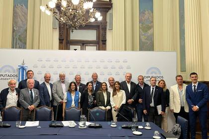 Las entidades del agro expusieron en la Comisión de Agricultura y Ganadería, de la Cámara de Diputados, sobre la eliminación de las retenciones