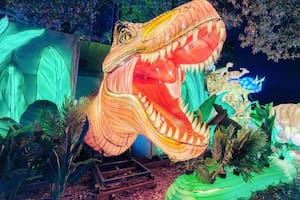 Festival de Linternas Chinas en Carolina del Norte: actividades y precios