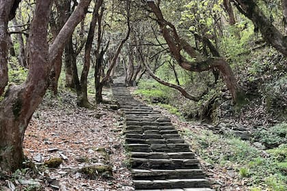 “Las escaleras eran interminables y cada vez que miraba para arriba me preguntaba qué estaba haciendo ahí..."