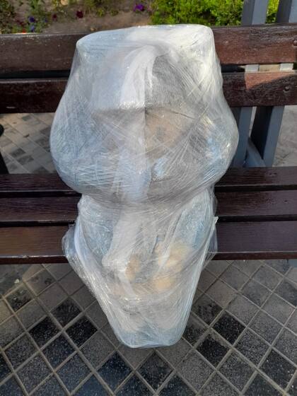 Las esculturas ya se encuentran recubiertas y en 48 horas estarán nuevamente habilitadas. Foto Gentileza Ciudad de Mendoza