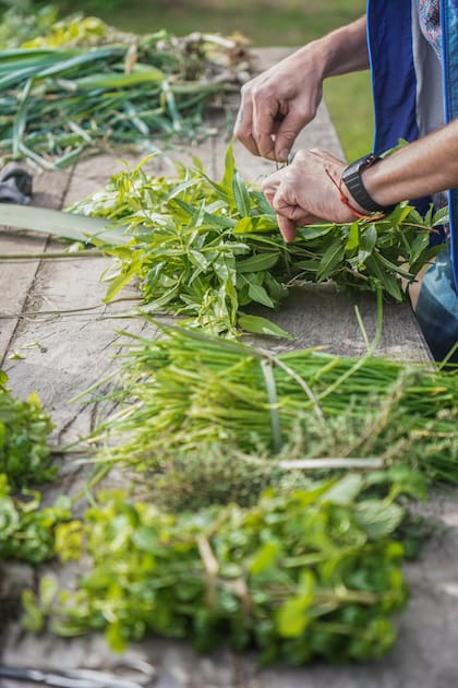 Las especies aromáticas son muy buscadas en los restaurantes para platos y tragos