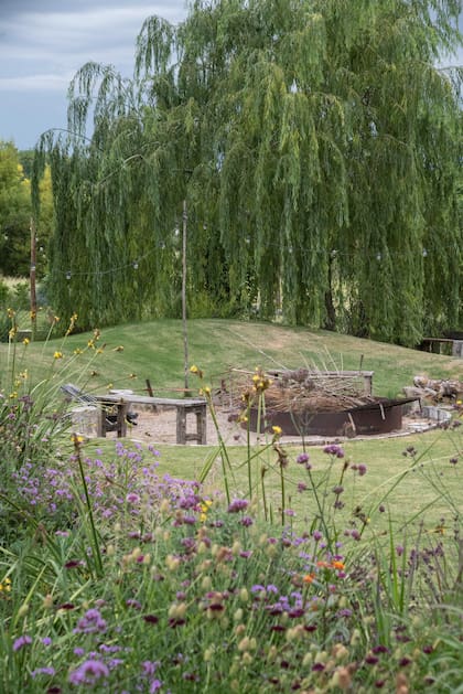 Las especies nativas cumplen un rol clave porque desarrollan sistemas radiculares adaptados y acompañan los ciclos locales