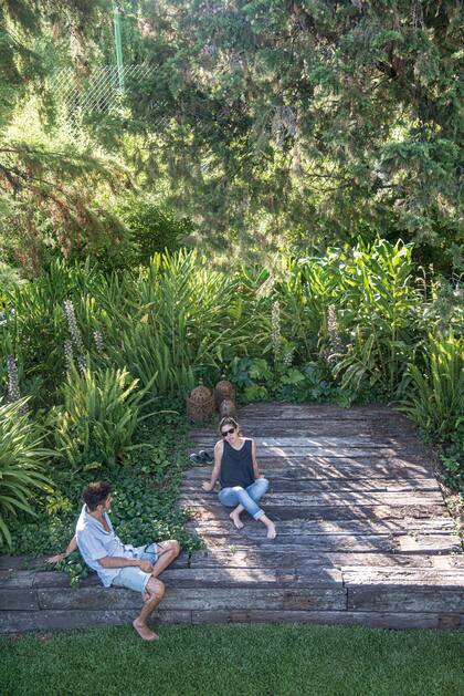 Las especies predominantes en el sector del deck son Acanthus mollis, Monstera deliciosa, Philodendron bipinnatifidum, Cyrtonium falcatum, Hedychium coronarium, Melianthus major de follaje gris y Salvia procurrens como cubresuelo