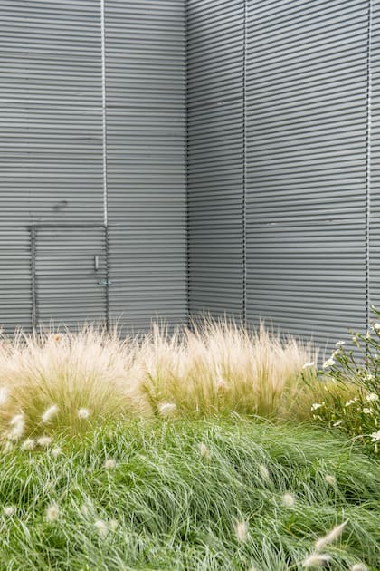 Las espigas blancas dan luz al lugar y lo agrandan visualmente