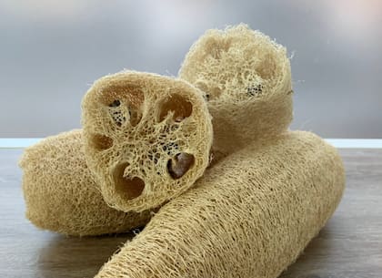 Las esponjas vegetales vienen ganando terreno (Foto: X)