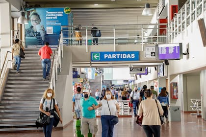 Las estaciones y terminales deben contar con espacios señalizados para la espera de pasajeros con animales