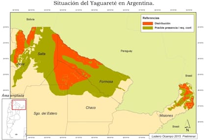 Las estimaciones oficiales indican que sólo en el mejor de los casos, quedarían 250 yaguaretés en la Argentina y no más de 30 en la región chaqueña, donde Hidvégi cazó uno