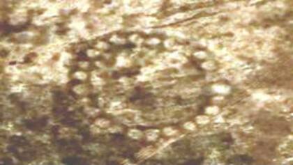 Las estructuras fueron descubiertas en 2007