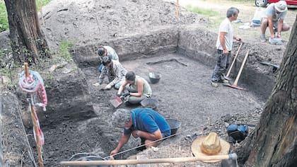 Las excavaciones se hicieron a principios de 2016