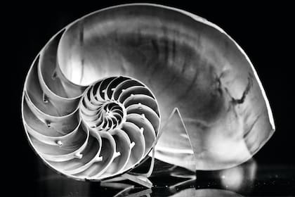 Las exhibiciones son una parte ínfima del trabajo que se hace día a día.