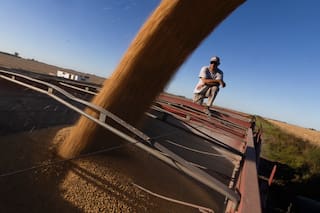 Las exportaciones brasileñas de soja caerían un 3% en 2026, dice Safras