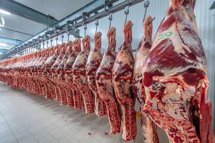 Las exportaciones de carne representan el 27,3% de todo lo producido en el país