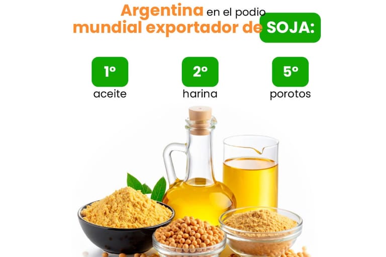 Las exportaciones de soja y los subprodutos, según el podio mundial que ocupa cada uno