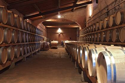 Las exportaciones de vino embotellado cayeron en volumen en el primer semestre del año