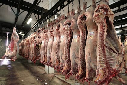 Las exportaciones marcaron un récord en 2019: 831.000 toneladas res con hueso