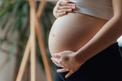Las fechas de la Asignación por Prenatal y Maternidad