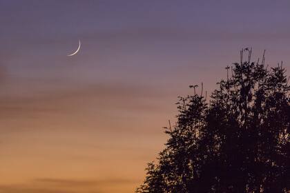 Las fechas de las fases lunares de julio 2025