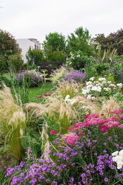 Las flores, arbustos y hierbas de un jardín silvestre son tan hermosas como funcionales, ofreciendo no solo un refugio visual para el ojo, sino también un hábitat para polinizadores y fauna local