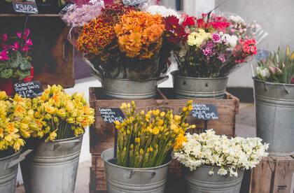 Las flores cumplen no solo con el rol decorativo sino de ambientar el hogar (Foto:Pexels)