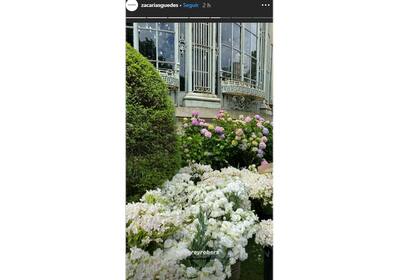 Las flores elegidas por Pampita Ardohain para su boda