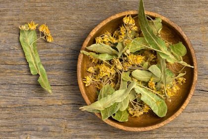 Las flores secas de tilo se pueden consumir en infusiones y ayudan a relajarse e inducir un descanso placentero