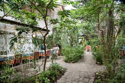 Las Flores tiene un jardín, en un rincón, rodeada de plantas y arbustos altos y tupidos, de especies nativas