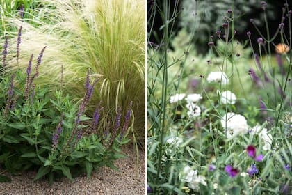 Las flores van y vienen en el transcurso de las estaciones y, año tras año, se intercambian protagonismo espuelas, amapolas y escabiosas, entre otras especies.
