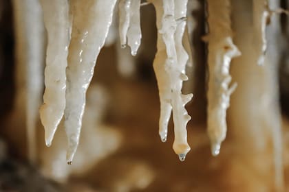 Las formaciones, en detalle