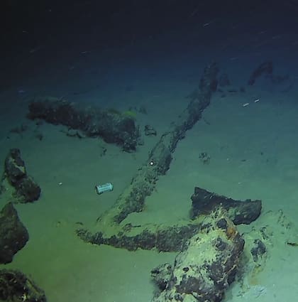 Las fotografías fueron difundidas en redes sociales por DRASSM