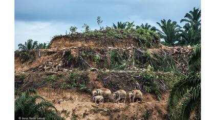 El primer premio para la categoría Periodismo fue la categoría Fotografo joven del a?o para Aaron Gekoski