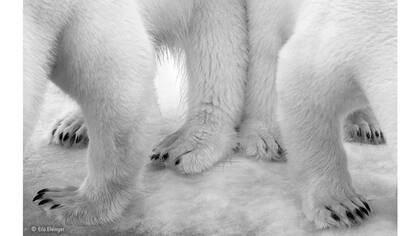 La ganadora en Blanco y Negro fue la imagen de Eilo Elvinger