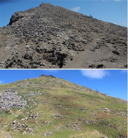 Las fotos tomadas en 2012 (arriba) y 2020 (abajo) muestra la transformación de la isla