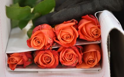 Las frases de San Valentín pueden acompañarse con flores, chocolates o una buena velada con la pareja o amigos