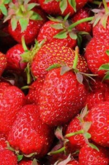 Las fresas ayudan a prevenir enfermedades.

Foto: iStock