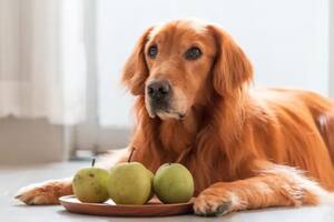 Las frutas pueden aportarle varios nutrientes como vitaminas, minerales, fibra y antioxidantes