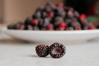 Las frutillas, moras, arándanos y frambuesas: son altamente perecederas y deben lavarse y secarse bien antes de ponerlas en la heladera (Foto ilustrativa: PIXABAY)