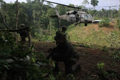 Las fuerzas de seguridad colombianas durante un operativo antidrogas. Colombia es el exportador número uno de cocaína, seguido de Perú 