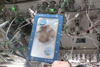 Las galletitas llegaron al espacio en un sobre sellado y serán analizadas en la Tierra para determinar si quedaron bien cocida en el horno de la Estación Espacial Internacional