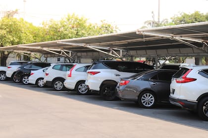 Las generaciones más jóvenes fueron los que menos confianza indicaron sentir a la hora de estacionar.